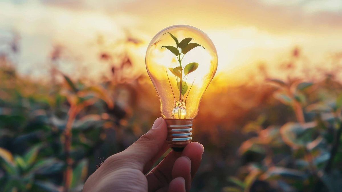 Investitionen in erneuerbare Energien: Der Aufstieg der grünen Wirtschaft