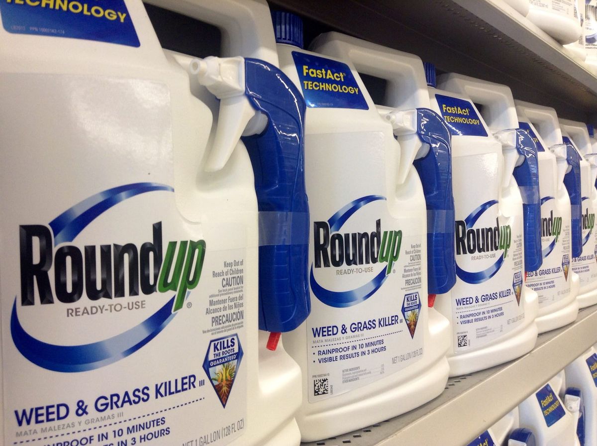 US-Supreme Court prüft Monsanto-Glyphosat-Klage: Wendepunkt für Konzernhaftung