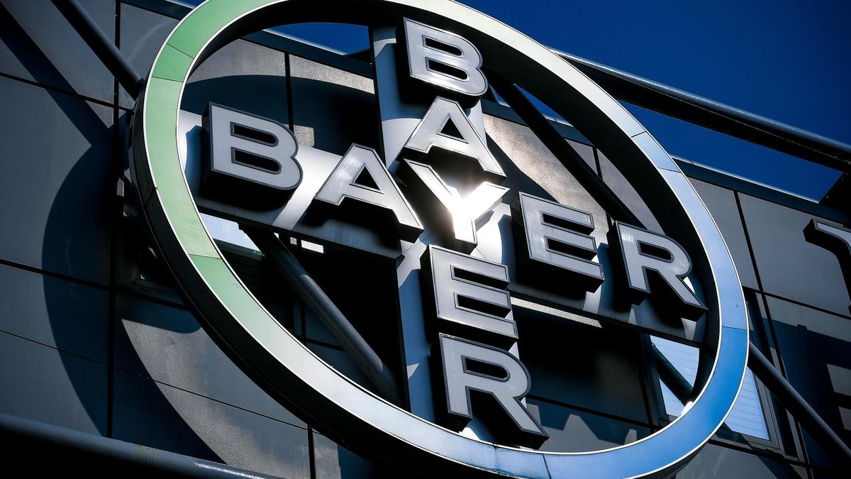 Der Bayer-Kollaps: Leverkusener Traditionskonzern am Abgrund der Patentklippe