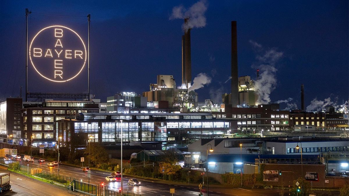 Bayer-Aktie vor dem US-Showdown auf Höhenflug