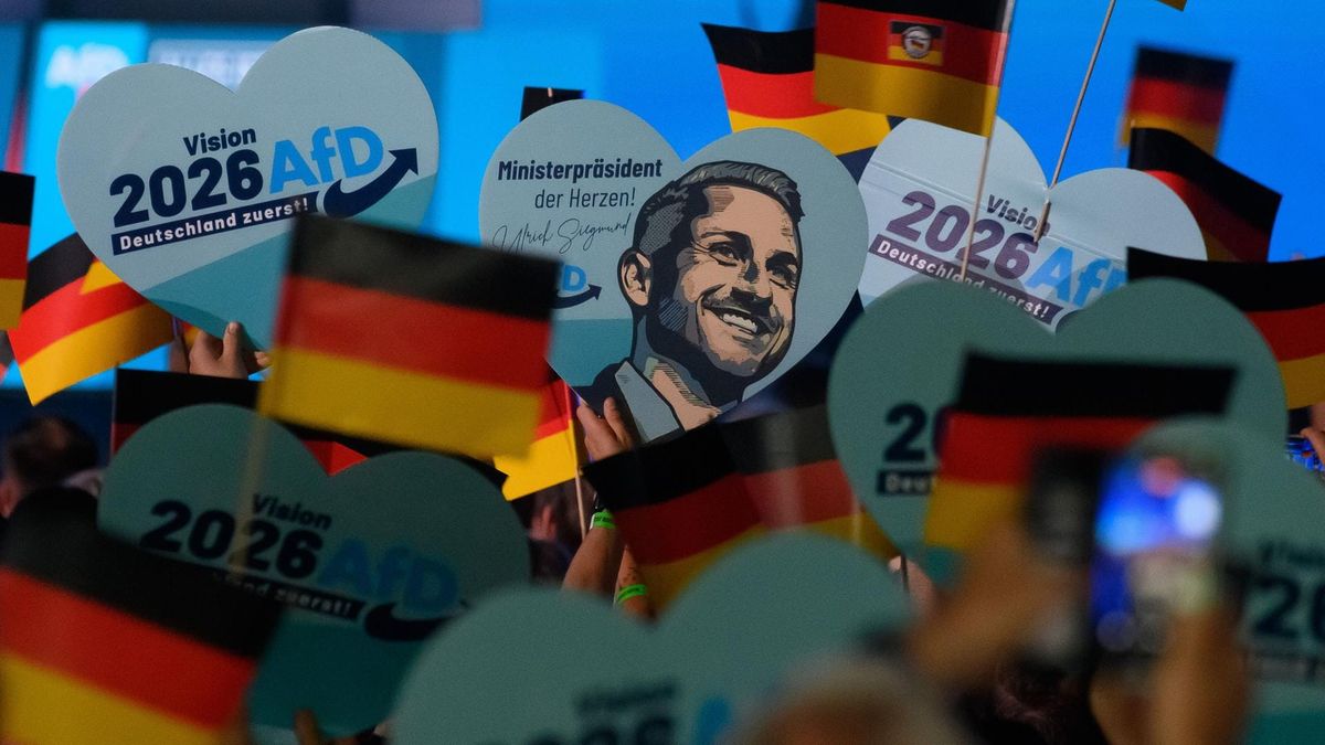 Politisches Beben an der Küste: Warum der AfD-Höhenflug die etablierte Machtstruktur zertrümmert