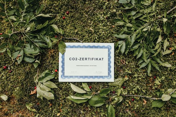 Vertuschung und Verzögerung: Der Skandal um gefälschte CO₂-Zertifikate!