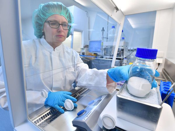 Geldflut in der Krebsforschung: Echte Heilung oder reine Spekulation?