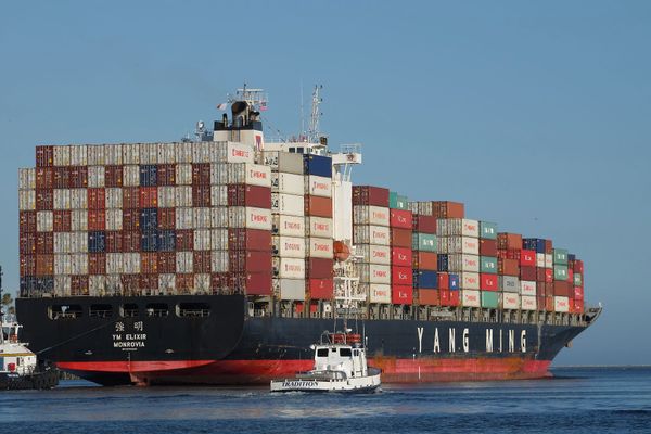 Reeder-Gier treibt Händler in die Pleite