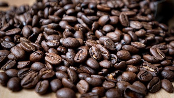 Kaffee für Zehn Euro? Warum der Preisanstieg noch nicht am Ende ist
