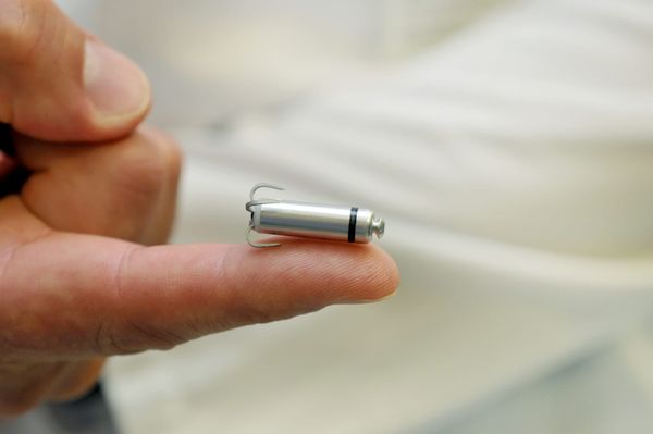 Wie essbare Energiezellen die Medizintechnik verändern könnten