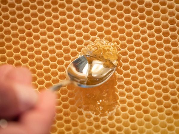 „Roh-Gang“ = Social-Media-Sekte?