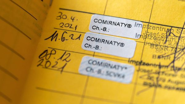 Corona-Impfschäden: Die Statistik hinter 192 Millionen Dosen