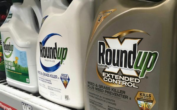 Glyphosat unter Druck – Bayer stellt US-Ausstieg offen zur Debatte