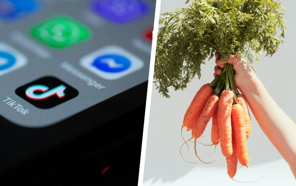 Fabian Kowallik und der Ernährungstrend „Gottes Nahrung“