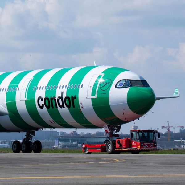 Condor am Boden? Wie Deutschlands Ferienflieger zur Servicekatastrophe wurde