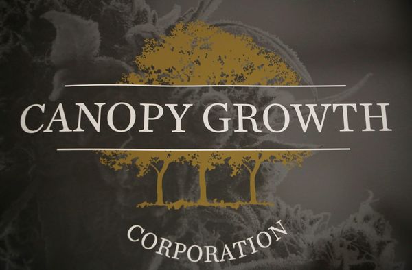Canopy Growth bricht um 20 % ein