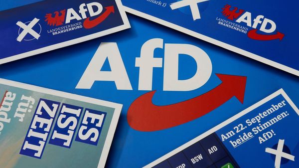 Wie der Verfassungsschutz die AfD enttarnt