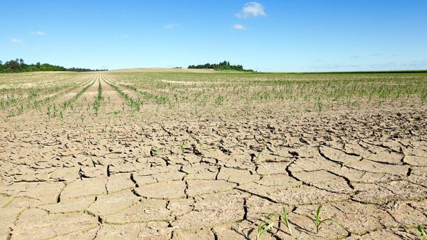 Klimawandel auf der Kippe: Droht Europa die neue Eiszeit?