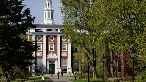 Wie Harvard 53 Milliarden versenkt – und Trump applaudiert
