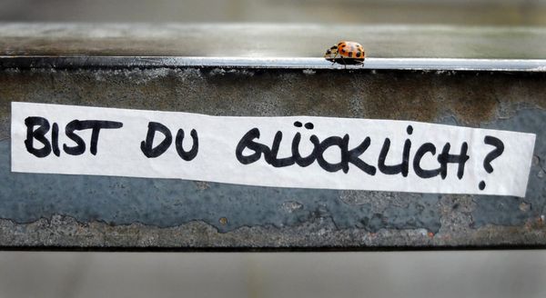 Kassel schlägt München: Wo Deutschlands Bürger wirklich glücklich sind