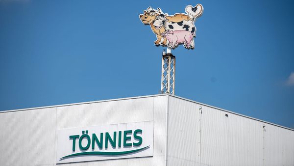 Wurstkönig will noch mehr – droht jetzt ein Monopol auf dem Fleischmarkt?