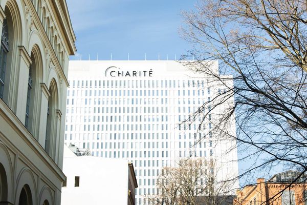 Microsoft-Boni und Bioabfall-Ziele – So kurios verdienen Berlins Top-Manager