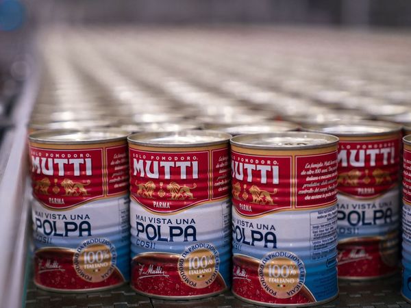 Wie Mutti es schafft, Dosentomaten teurer zu verkaufen als Wein