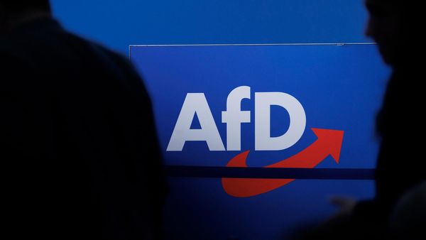 AfD zieht mit Union gleich – neue Insa-Umfrage markiert historischen Höchstwert