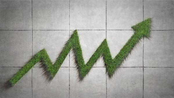 Aktive ETFs: Wenn aus Indexfonds Spekulation wird