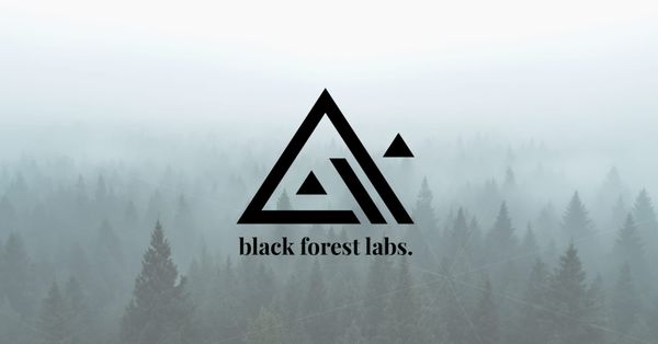 Deutsches KI-Wunder im Visier der US-Giganten – Salesforce und AMP wollen bei Black Forest Labs einsteigen