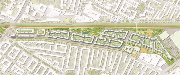 Kreuzkröte stoppt Stadtviertel – Wie Berlin an der eigenen Bürokratie scheitert