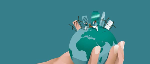 Wie Wissenschaft und Logik dich reicher machen als Emotion und Zufall