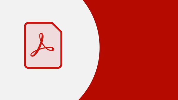 Adobe setzt auf KI – Umsatzrekord und starke Prognose für 2026