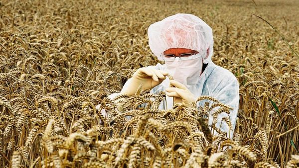 Europa verändert die Regeln für die Gentechnik