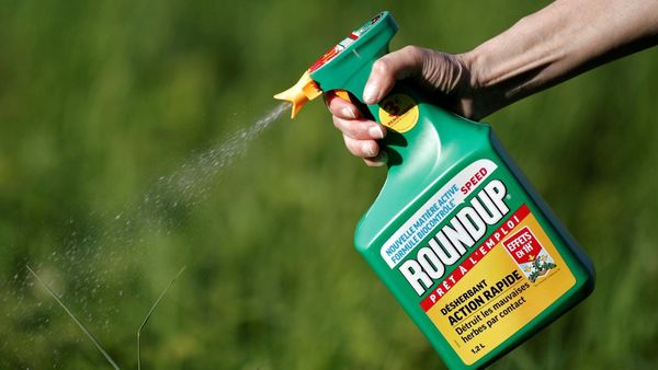 Achtung Anleger: Trump erklärt Glyphosat zur Frage der „nationalen Sicherheit“