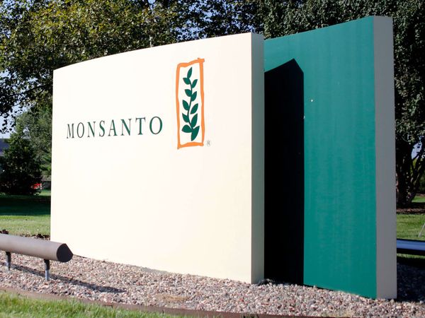 Gift-Vergleich in den USA: Bayers 7-Milliarden-Dollar-Wette – Befreiungsschlag oder Milliarden-Grab?