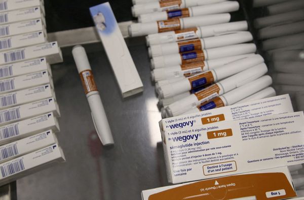 Kurs-Explosion oder Vernichtungsschlag: Novo Nordisks Geheim-Pakt mit dem Billig-Rivalen schockt die Pharmrawelt