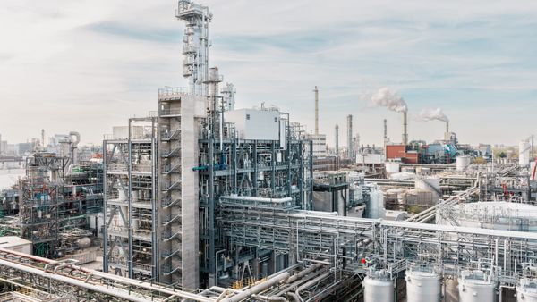BASF baut Aromastoff-Imperium aus: Neue Mega-Anlagen für Menthol, Linalool und Citral