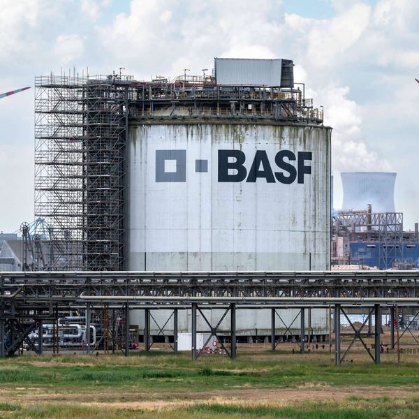 BASF sichert globale Aromastoffversorgung: Neue Megaanlagen für Menthol, Linalool und Citral
