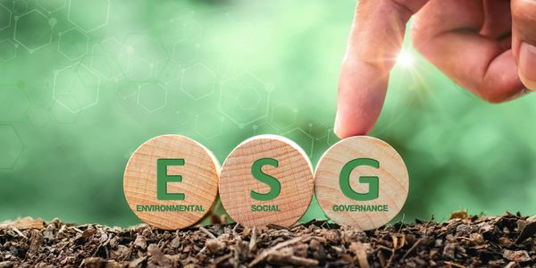 Nachhaltige Geldanlage: Wie ESG-Kriterien die Zukunft der Kapitalmärkte prägen