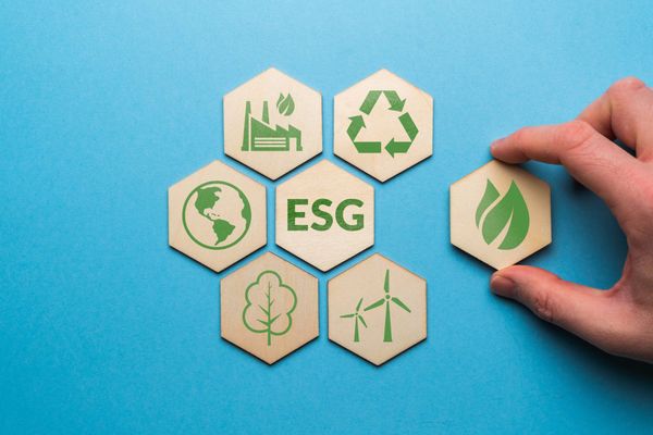 Nachhaltige Geldanlage: Wie ESG-Investments die Kapitalanlage revolutionieren