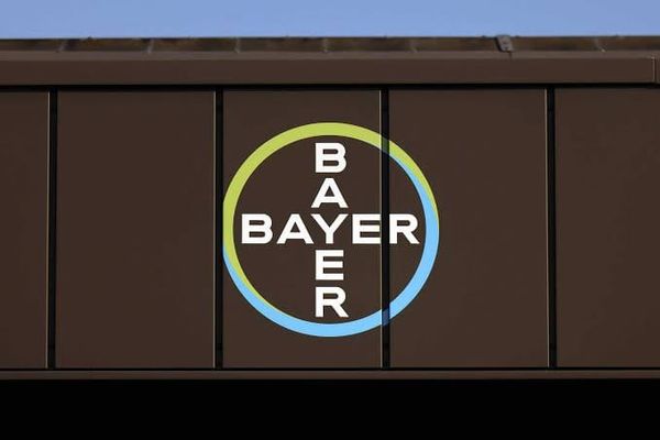 Bayer feiert Justiz-Sieg und ignoriert den wirtschaftlichen Kollaps: Eine Farce in drei Akten