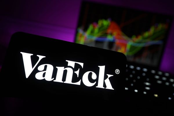 Van Eck schlägt Alarm: Warum dieser ETF-Riese Elon Musk jetzt öffentlich kritisiert