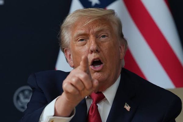 Der Kanzler-Kollaps nach Trumps AfD-Lob