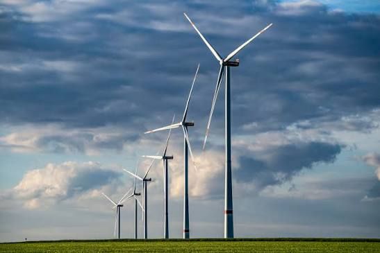 Milliardenrisiken im Portfolio: Warum Banken die Biodiversitätskrise ignorieren – mit fatalen Folgen