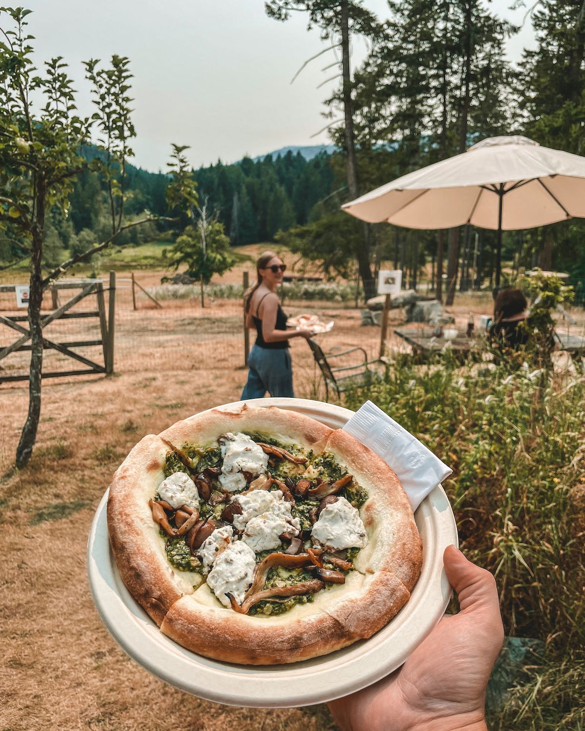 Personal pizza topped with mushrooms and local goat cheese, served at the Salt Spring Island Cheese Farm pizzeria.