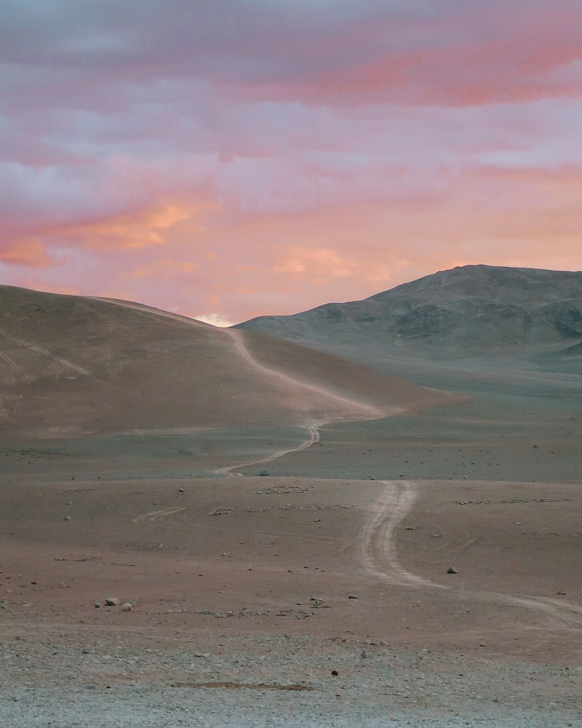A winding dirt path through the Atacama Desert, Chile, with soft pink and purple hues painting the sky at dusk.