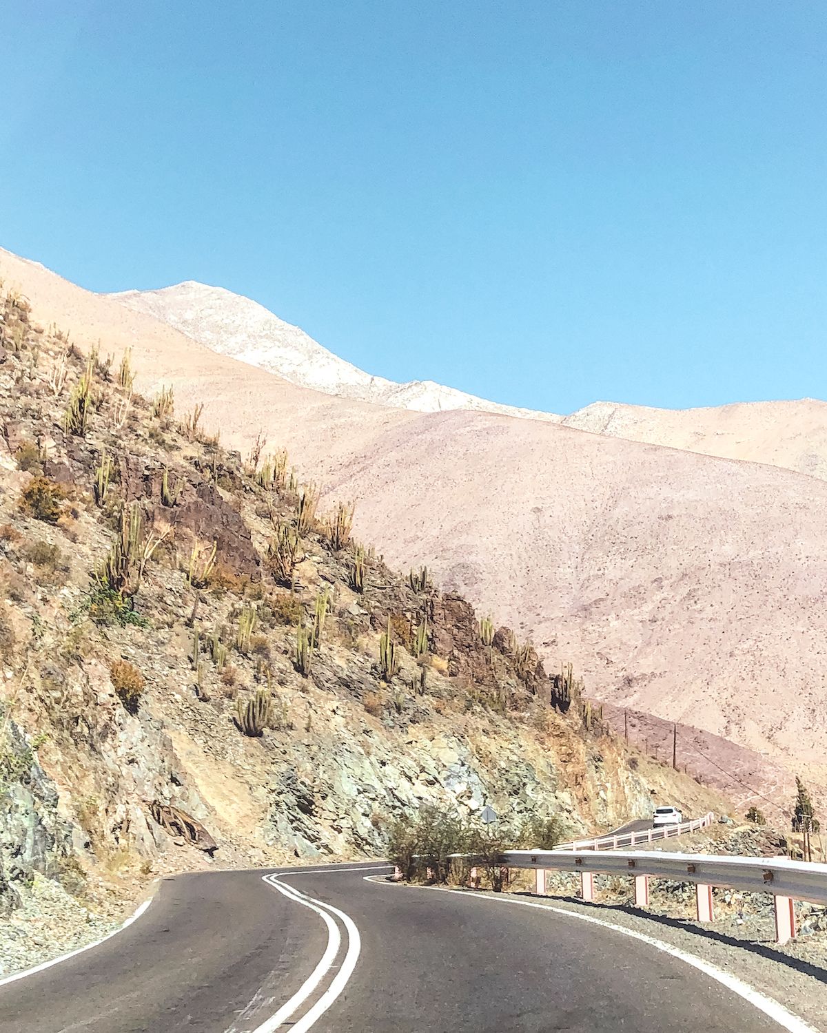 Winding road through the arid Elqui Valley, Chile, lined with cacti and set against a backdrop of rugged, sunlit mountains.