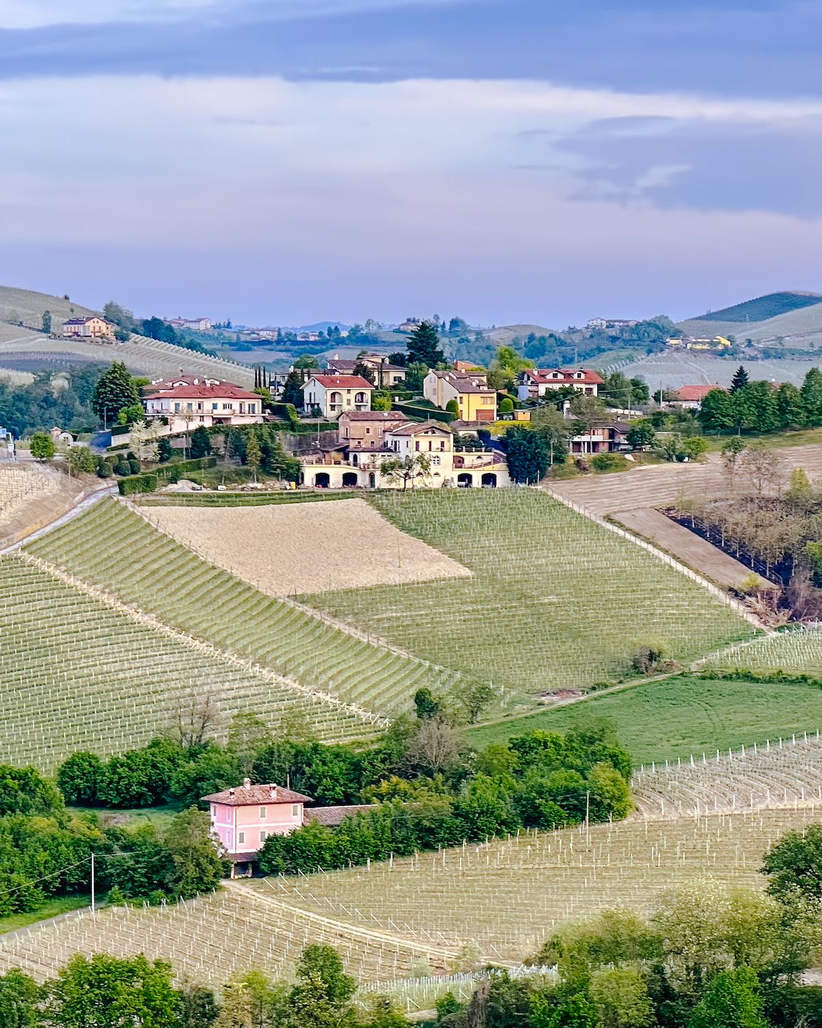 Green vineyards and quaint houses with terracotta roofs in the distance