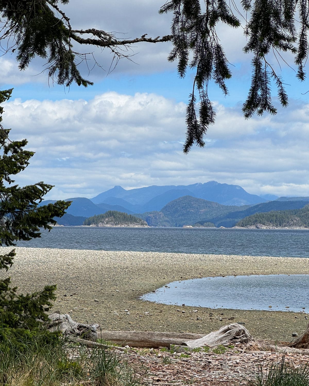 A tranquil beach view from Rebecca Spit Marine Provincial Park framed by trees, with calm water, rocky shore, and layers of forested islands and mountains in the background.