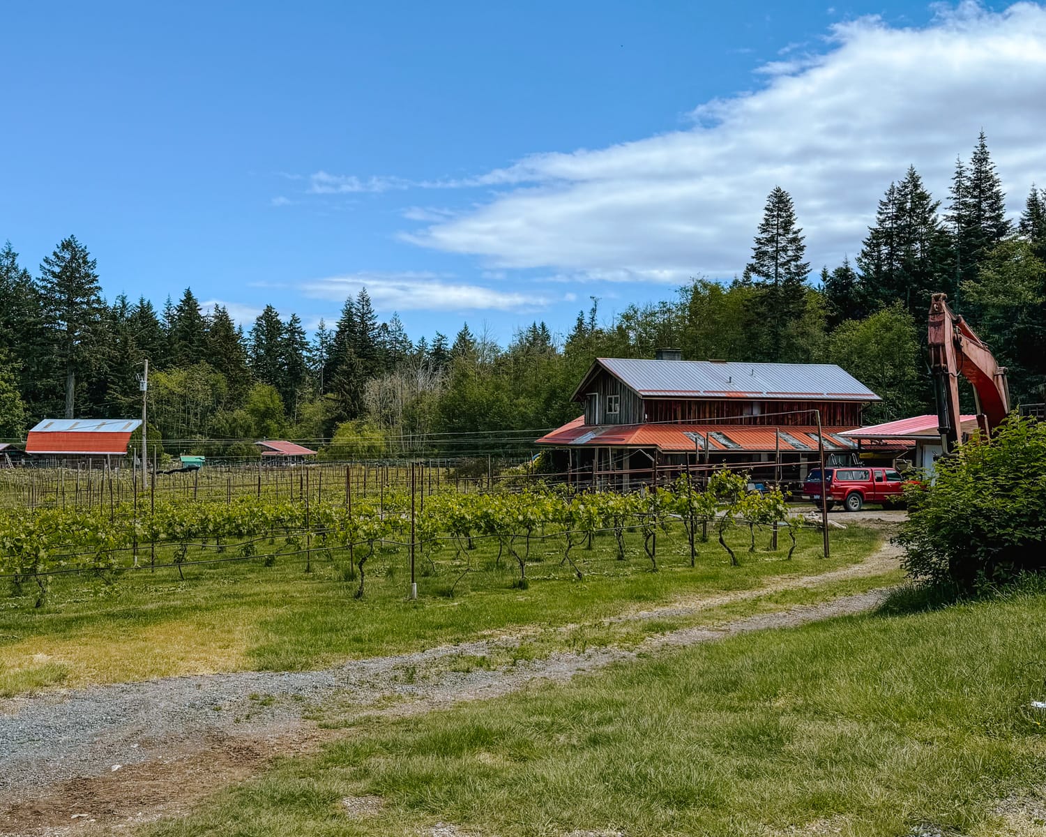 Rustic farm building with a red roof nestled at SouthEnd Farm on Quadra Island beside vineyards and a gravel path, surrounded by forest and a wide blue sky.