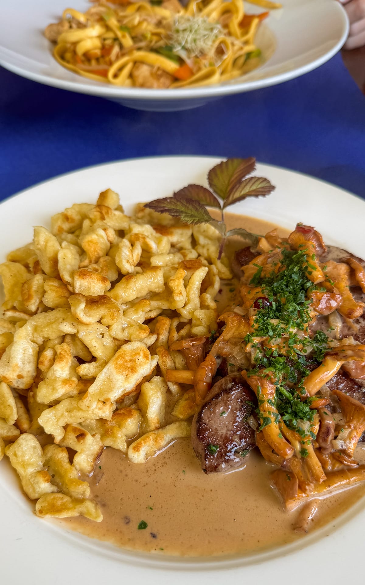 Hearty dish featuring spaetzle and creamy chanterelle mushroom sauce.
