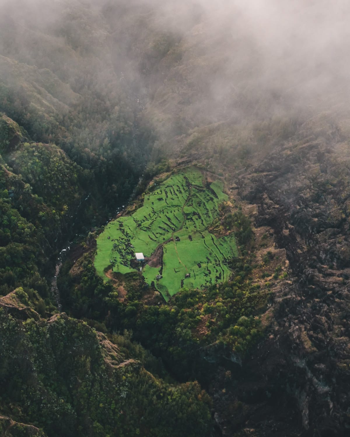 Aerial shot of a hidden lush green terraced farmland, surrounded by steep misty mountains.
