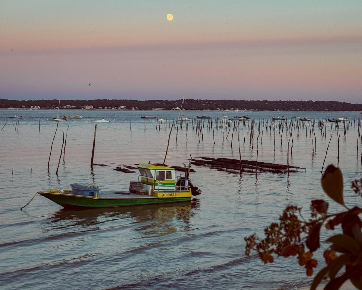  A green and yellow fishing boat floats on calm water at dusk, with oyster farm poles standing in the background.